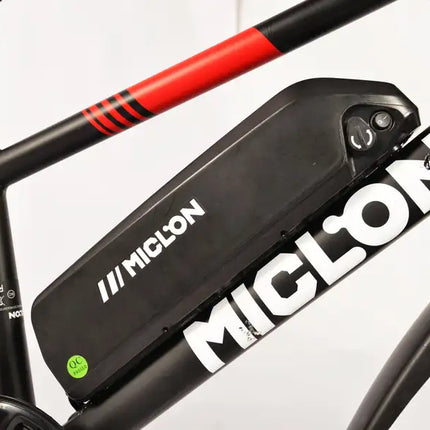 Electric Bike for Adults