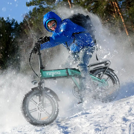 1000W Folding Electric Bicycle for Adult