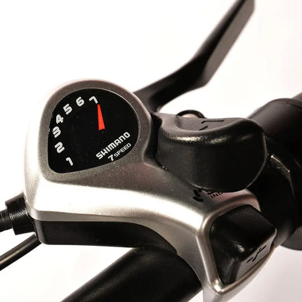 Bicicleta eléctrica para adultos