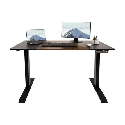 Dual Motor Height Adjustable Electric Standing Desk, 47x24 Inch Complete Desktop, Featuring Muting Adjustment with Spliced Desktop,Office and Home Use BLACK
