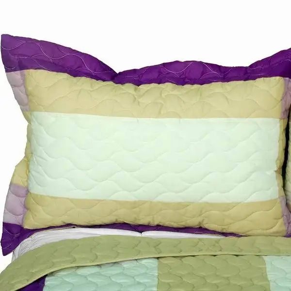 [Waves Of Rays ] 3PC Vermicelli-Quilted Patchwork Quilt Set (Full/Queen Size)