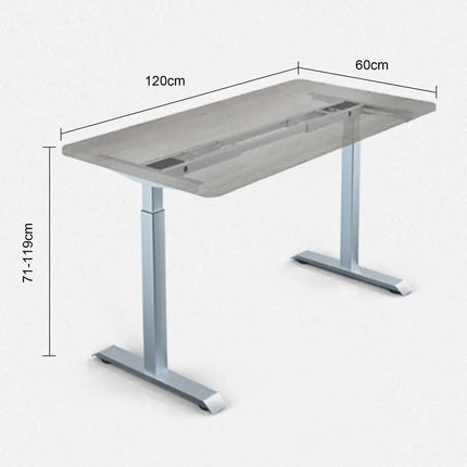 Dual Motor Height Adjustable Electric Standing Desk, 47x24 Inch Complete Desktop, Featuring Muting Adjustment with Spliced Desktop,Office and Home Use BLACK