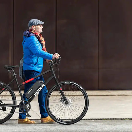 electric bikes  Macmission 100-1