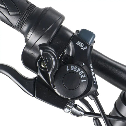 Electric Bike for Adults