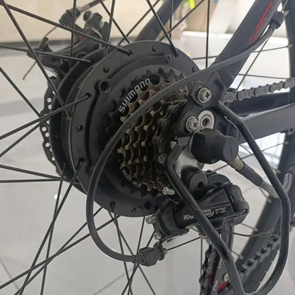 Bicicleta eléctrica para adultos