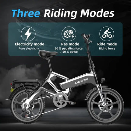 20' K6 Electric Bike for Adults 10AH/12.8Ah