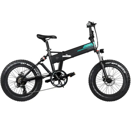 Fiido M1 20" Fat Tires Folding Electric Mountain Bike 250W Motor 7 Speed Derailleur 3 Mode LED Display