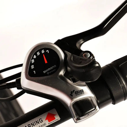 Bicicleta eléctrica para adultos