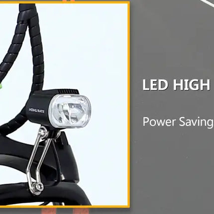 Dual-Drive Fat Tire E-bike Pro