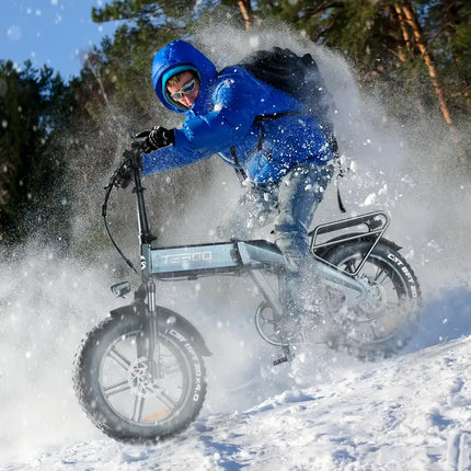 1000W Folding Electric Bicycle for Adult