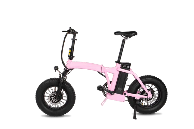 Dual-Drive Fat Tire E-bike Pro