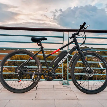 Electric Bike for Adults