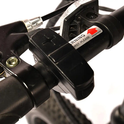 Bicicleta eléctrica para adultos