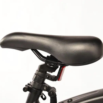 Electric Bike for Adults