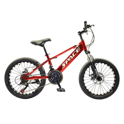 Mountain Bike for Kids, Featuring 20-Inch Aluminuml Steel Frame and 21-Speed with 20-Inch Wheels