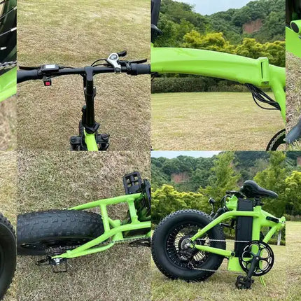 Dual-Drive Fat Tire E-bike Pro
