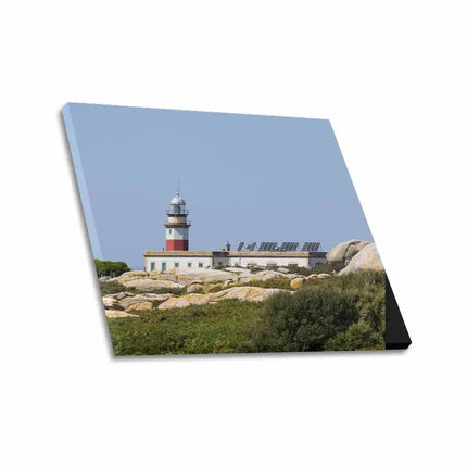 Uniquely You Wall Art - Nature Landscape / Frame Canvas Print 24"x20"