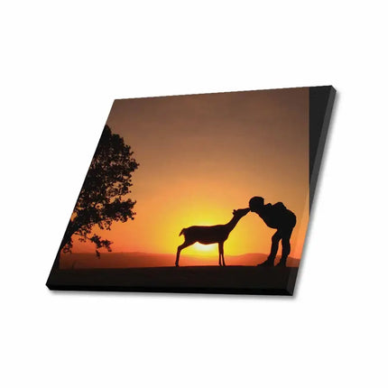 Uniquely You Wall Art - Nature Landscape / Frame Canvas Print 24"x20"